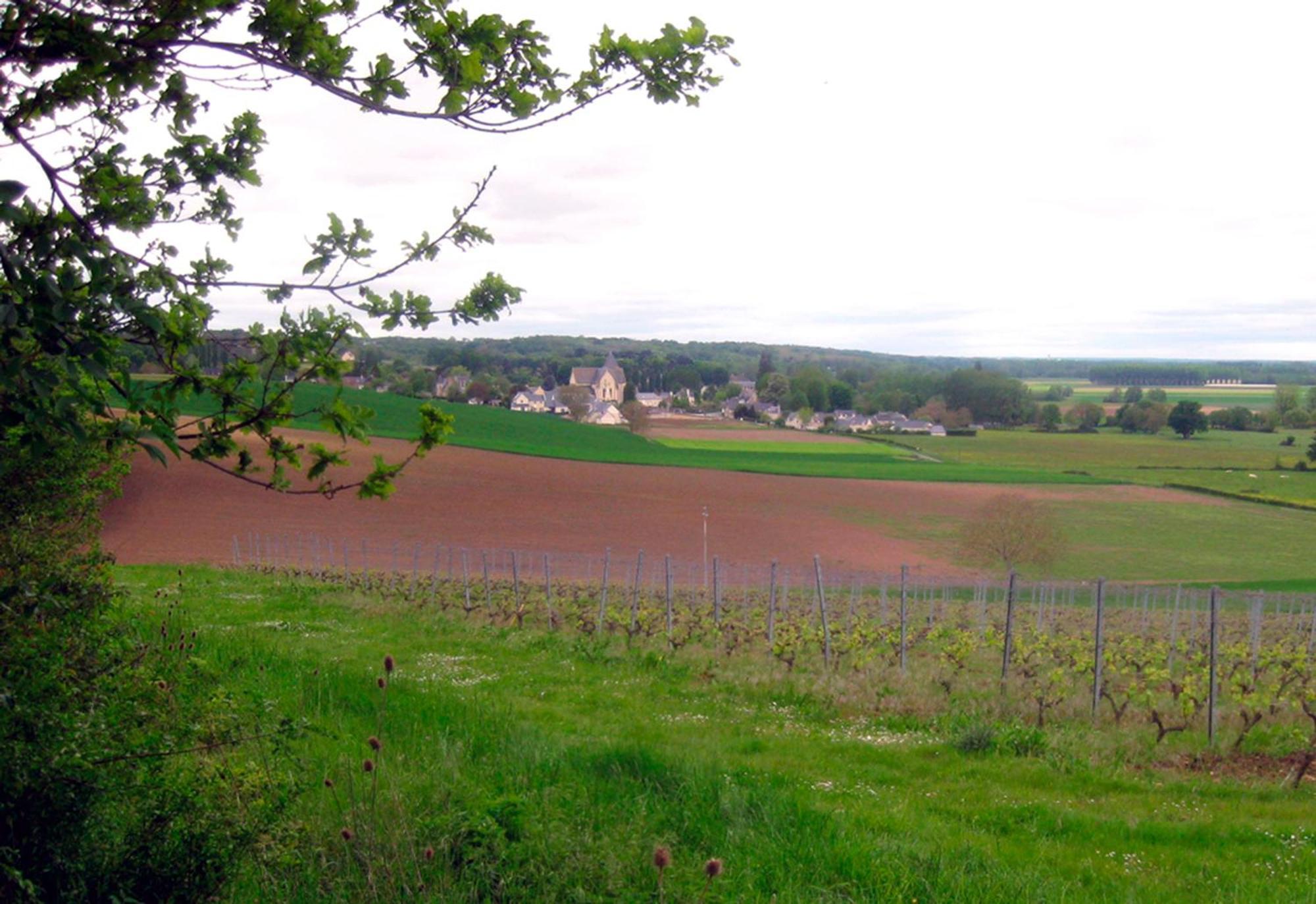 Bed and Breakfast La Butte De Gohier Blaison Exteriér fotografie