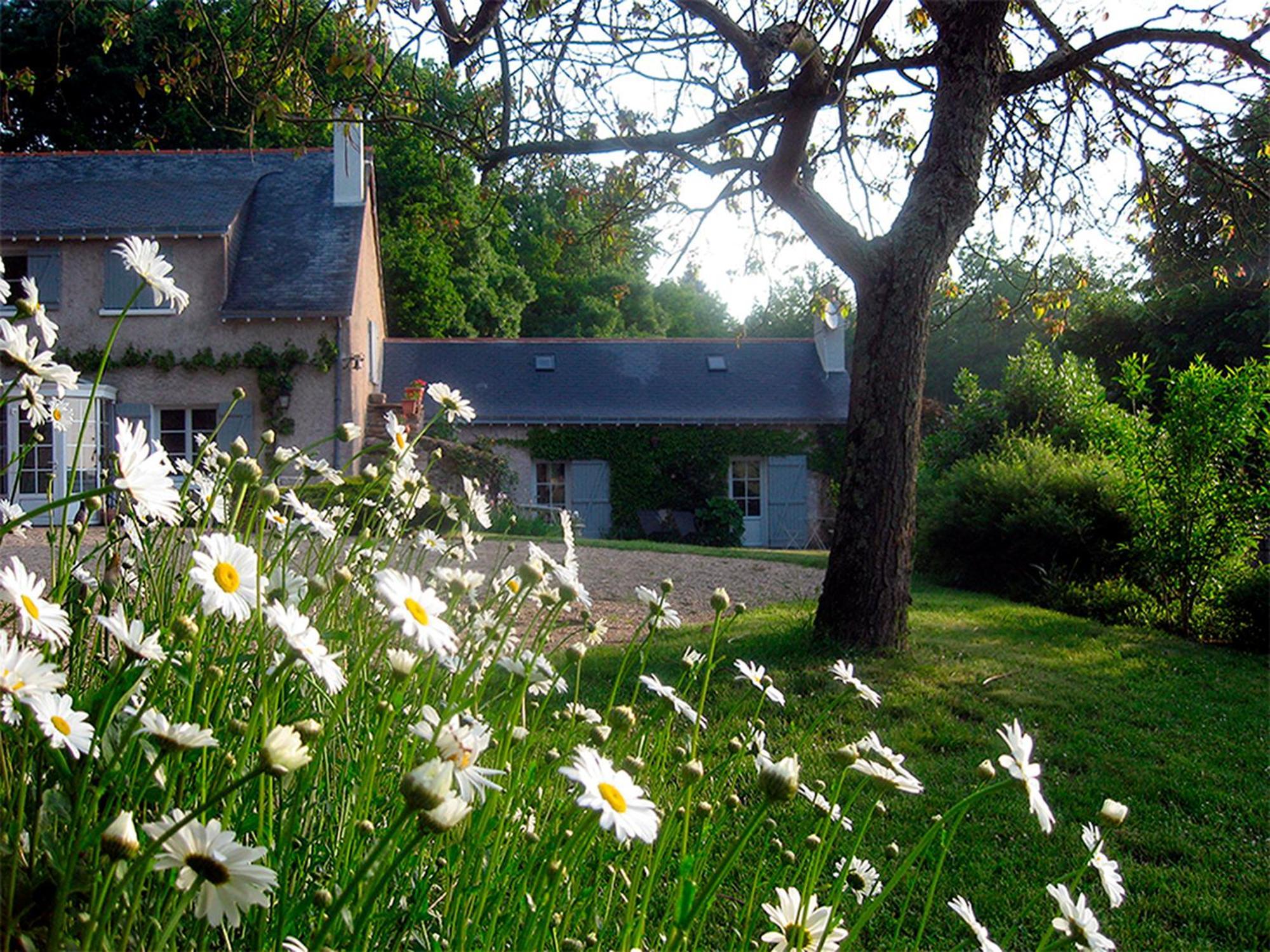 Bed and Breakfast La Butte De Gohier Blaison Exteriér fotografie